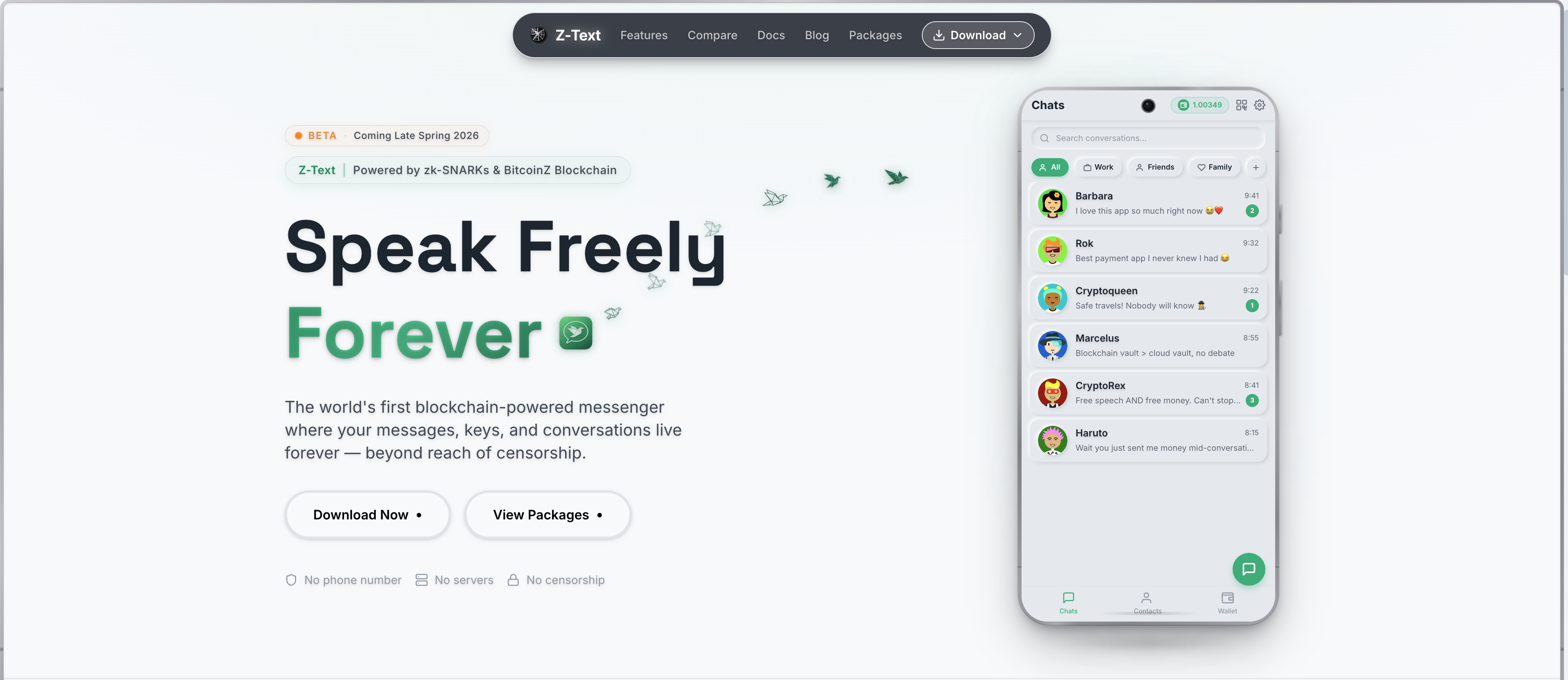 BitcoinZ Development Roadmap